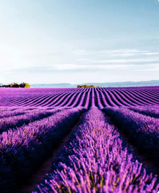 Tourisme & Circuits Privés